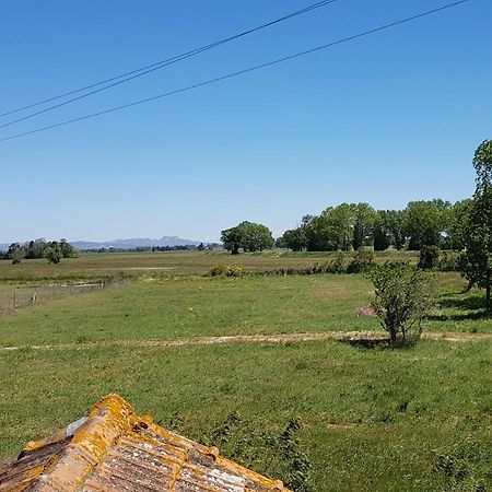 Petite Maison Refaite A Neuf Dans Mas Du 19Eme Siecle Αρλ Εξωτερικό φωτογραφία