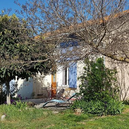 Petite Maison Refaite A Neuf Dans Mas Du 19Eme Siecle Αρλ Εξωτερικό φωτογραφία