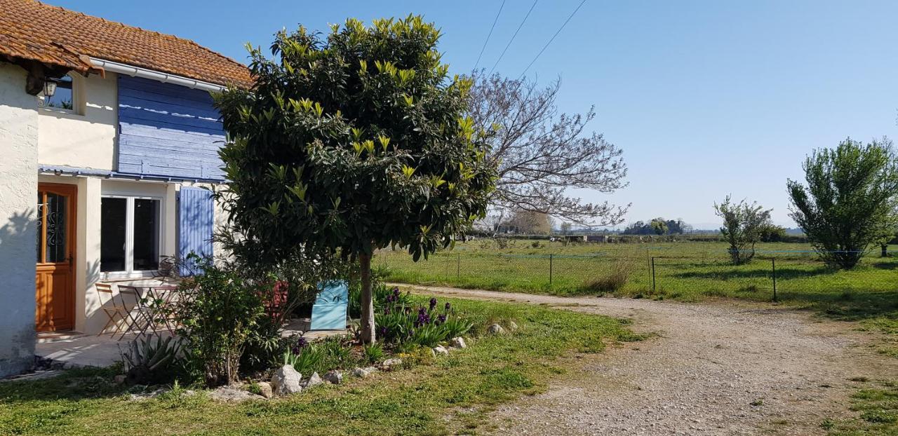 Petite Maison Refaite A Neuf Dans Mas Du 19Eme Siecle Αρλ Εξωτερικό φωτογραφία
