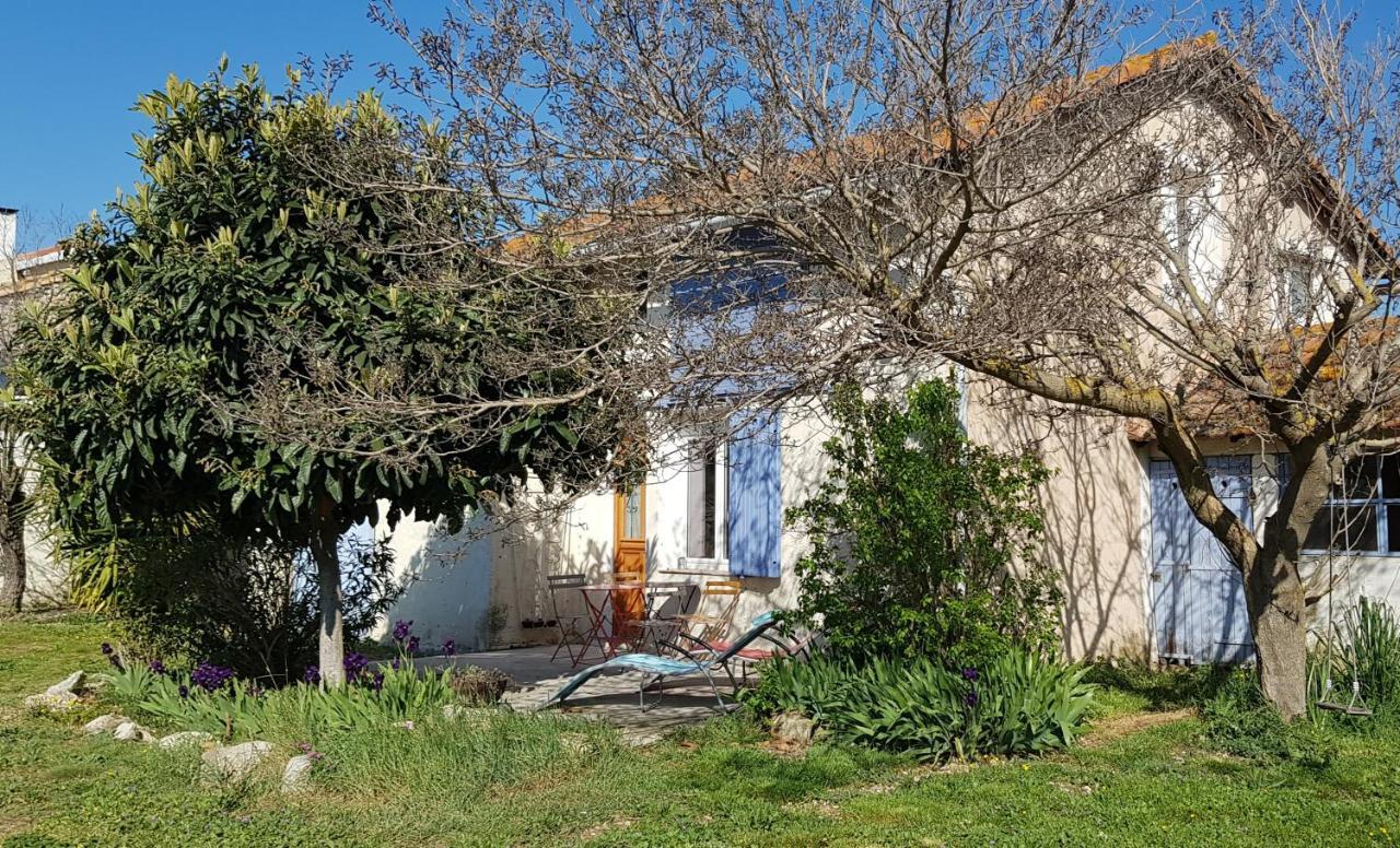 Petite Maison Refaite A Neuf Dans Mas Du 19Eme Siecle Αρλ Εξωτερικό φωτογραφία